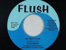 Garage Fuzz 45 - Blue Amber - We Got Love - Flush - VG++ mp3 - rare
