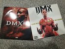2 DMX  Its  Dark & Hell Is Hot / Flesh of My Flesh, Blood of My Blood  LP PROMO