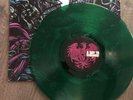 Homesick by A Day to Remember (Record, 2013) Ultra rare Green vinyl