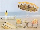 NEIL YOUNG-ON THE BEACH - VINILO NEW VINYL