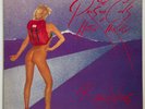 Vtg 1984 ROGER WATERS Album PROS & CONS HITCH HIKING Vinyl 1ST PRESS OG NR MINT
