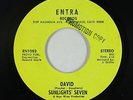 Psych Pop/Fuzz 45 - Sunlights' Seven - David/Judy In Disguise - Entra - VG+ mp3