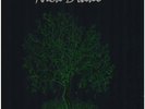 LP-BOX Nick Drake Fruit Tree - The Complete Recorded Works HARDCOVER Island