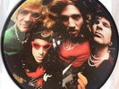 Red Hot Chili Peppers Snow ((Hey Oh)) PICTURE DISC Vinyl Single 7inch