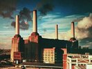 Animals - Pink Floyd Vinyl  NEW
