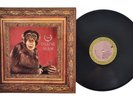 Talking Heads - Naked - Used LP - 1988 US Sire 25654-1 - **LIKE NEW** 0713