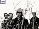 Tom Petty & Heartbreakers - Echo [New Vinyl LP]