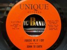 Down To Earth - Forgive Me If I Cry/I Need My Baby - Unique 45 VG+ DEEP SOUL