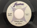 1966 Garage + Surf Instro 45 QUEST'S Scream Loud / Psychic FENTON  hear