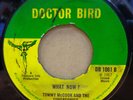 PHILLIS DILLON TOMMY MCOOK DONT STAY AWAY / WHAT NOW? DOCTOR BIRD 7
