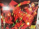 Trey Anastasio BURN IT DOWN Live Album LIMITED New Orange Colored Vinyl LP