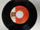 Rare 45 PROMO, The People’s Choice – Savin My Lovin for You, PALMER #5020