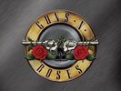 NEW Greatest Hits (2LP Vinyl) By Guns N' Roses $50.28