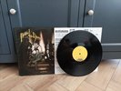 Panic  At The Disco Vices & Virtues Vinyl Record