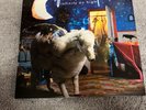 Infinity On High by Fall Out Boy Vinyl Record - Used 2LP Black Pressing