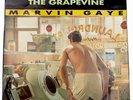Marvin Gaye I Heard It Through The Grapevine 7” 45RPM Vinyl Record 104558 Motown