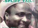 Triston Palma - Spliff Tail (New Vinyl LP) Free US Shipping