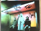 WOLF ALICE - BLUE WEEKEND BLACK VINYL LP + SIGNED PRINT AUTOGRAPHED