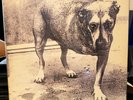 Alice In Chains FIRST PRESSING gate fold vinyl 2 LP 1995 s/t tripod