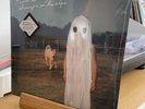 Stranger in the Alps [LP] by Phoebe Bridgers (Record, 2017) New And Sealed