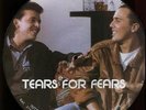 Tears For Fears Limited Edition Interview Picture Disc Uk 12