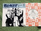 Bob Dylan - something there is about you JAPAN 45s VINYL single * PROMO WHITE *