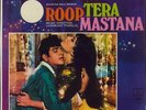 Laxmikant-Pyarelal Roop Tera Mastana vinyl LP album record IND
