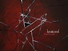 Lunatic Soul Fractured (Vinyl) 12