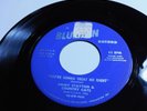 RARE Jimmy Stayton & Country Cats Rockabilly 45 BLUE HEN 224 
