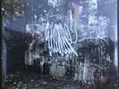 La Dispute Wildlife - SEALED - Gray, 2nd press