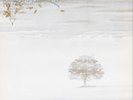 Genesis Wind And Wuthering  (Vinyl) 2018 Reissue