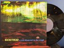 BUCKETHEAD A Real Diamond In The Rough NM Vinyl LP 2017