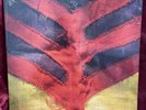 Yeah Yeah Yeahs Show Your Bones LP Vinyl NEW SEALED FS Karen O Gold Lion Warrior