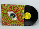 The 13th Floor Elevators Psychedelic Sounds 1967 Mono Repress Vinyl LP Psych 60s