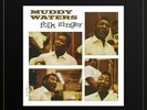 Folk Singer by Muddy Waters (Record, 2022) MFSL One Step #1135