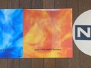 Nine Inch Nails broken & Fixed 12' & Slipmat Vinyl LP Record Trent Reznor