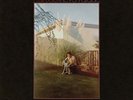 Fruit Bats The Pet Parade Records & LPs New