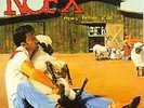 NOFX - Eating Lamb - EATING LAMB COVER - NEW BLACK VINYL LP SEALED
