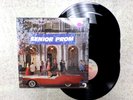 VINYL ALBUM RECORD,SESSIONS - SENIOR PROM, VARIOUS, BEN E. KING,THE PLATTERS,ECT