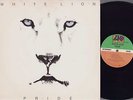 White lion - Pride