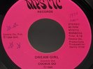 Electro Funk Boogie 45 COOKIE DO Dream Girl - Mystic Records Detroit, MI - Rare