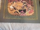 MEAT PUPPETS Self Titled SST SST-009 LP VINYL IS VG+
