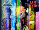 TANGERINE ZOO OUTSIDE LOOKING IN ULTRA-RARE ORIGINAL 1967 MAINSTREAM PSYCH LP NM