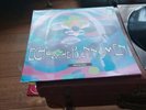 Echo &the Bunny Men, Reverberation album