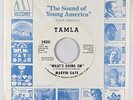70s Soul 45 - Marvin Gaye - What's Going On - Tamla - VG+ mp3 - promo