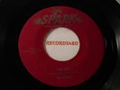 The Robins 45 One Kiss / I Love Paris / Spark Records 113
