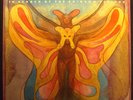 LP MTUME - in search of the rainbow seekers, OIS, US, vg++/m-