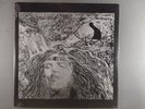 Terry Brooks & Strange  To Earth With Love  SEALED  Hard Rock, Psych Colored Wax