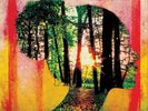John Brown's Body Fireflies (Vinyl) 12
