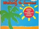 LP Eddy Grant Walking On Sunshine - The Very Best Of Eddy Grant NEAR MINT
